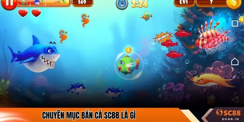 Chuyên mục bắn cá SC88 là gì