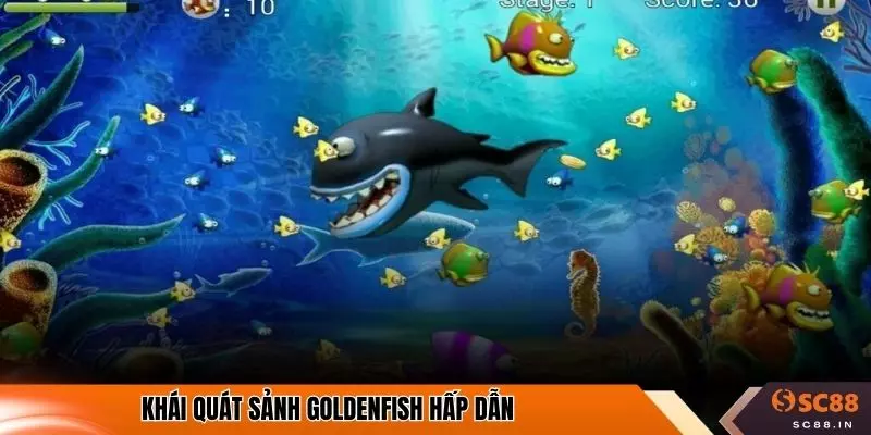 Khái quát sảnh GoldenFish hấp dẫn