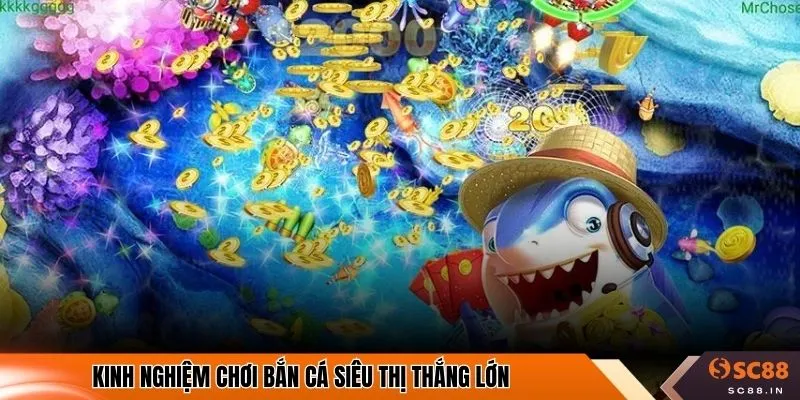 Kinh nghiệm chơi bắn cá siêu thị thắng lớn