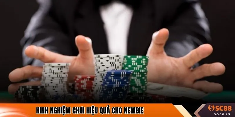 Kinh nghiệm chơi hiệu quả cho newbie