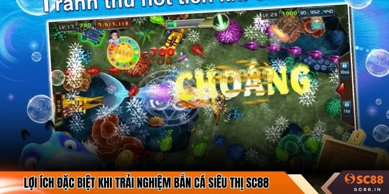 Lợi ích đặc biệt khi trải nghiệm bắn cá siêu thị SC88