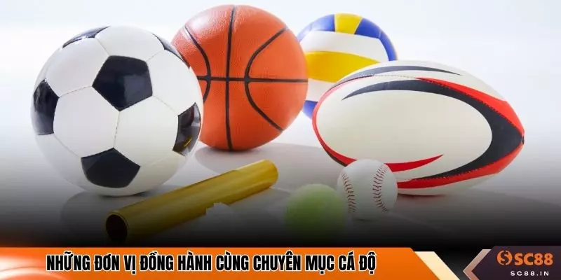 Những đơn vị đồng hành cùng chuyên mục cá độ