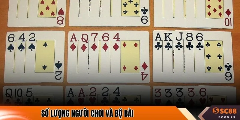 Số lượng người chơi và bộ bài