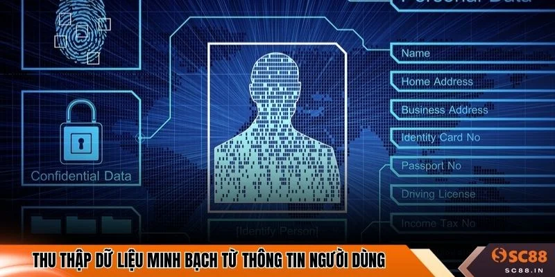 Thu thập dữ liệu minh bạch từ thông tin người dùng