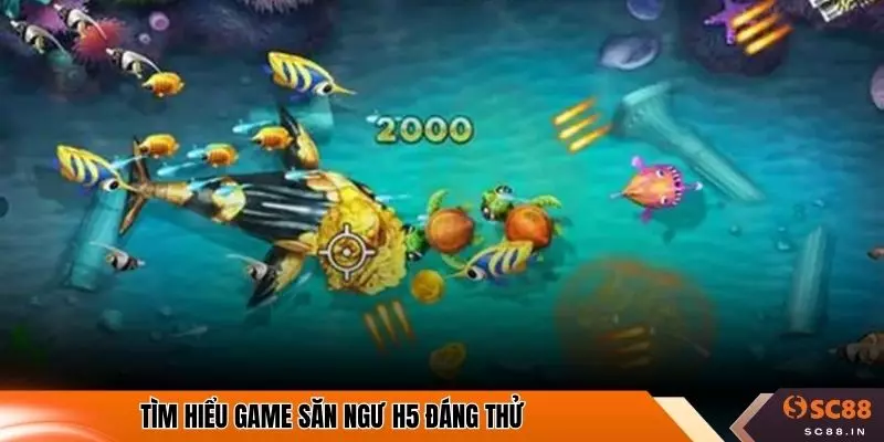Tìm hiểu game săn ngư H5 đáng thử
