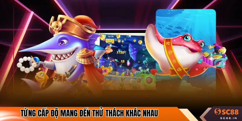 Từng cấp độ mang đến thử thách khác nhau
